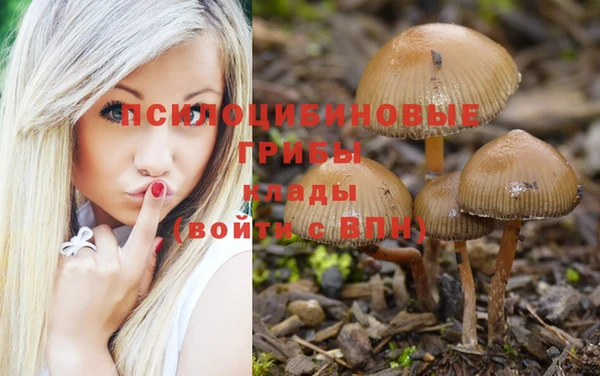 apvp Верея