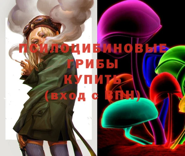 apvp Верея