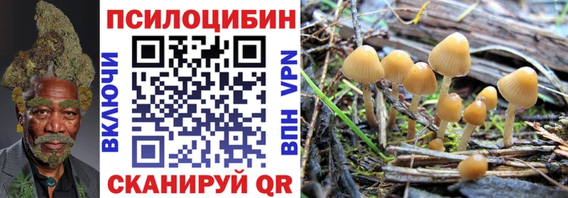 darknet наркотические препараты  Дрезна  Галлюциногенные грибы MAGIC MUSHROOMS 